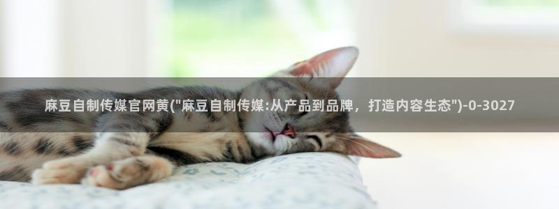 麻豆完整版页面：麻豆自制传媒官网黄(\
