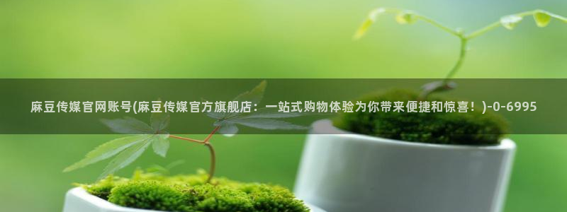 麻豆视频 内容整理：麻豆传媒官网账号(麻豆传媒官方旗