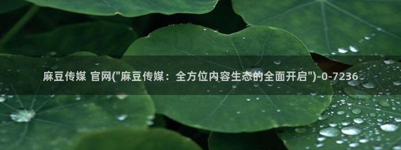 麻豆视频推荐导航：麻豆传媒 官网(\