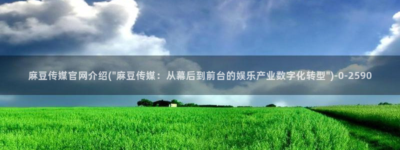 麻豆视频官方资源：麻豆传媒官网介绍(\