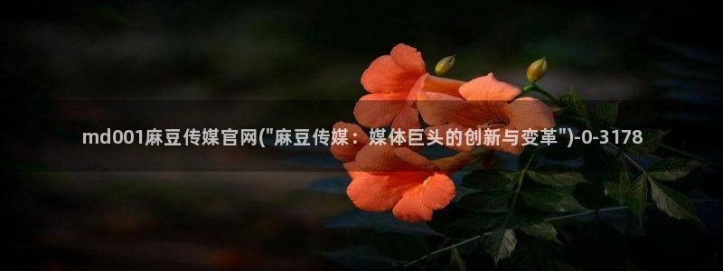 麻豆 下载专区：md001麻豆传媒官网(\
