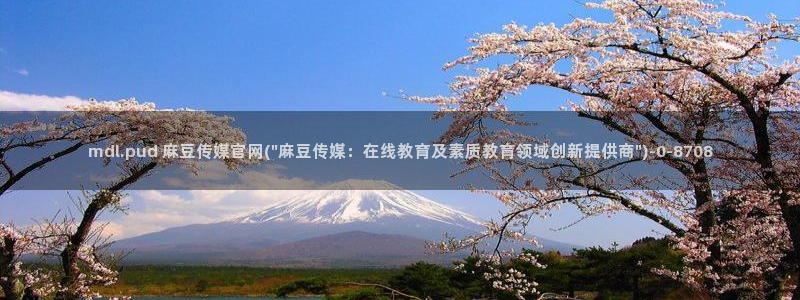 麻豆视频 资源更新