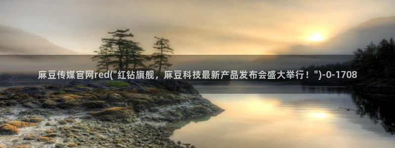麻豆视频 入口