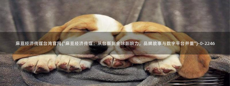 麻豆资源更新