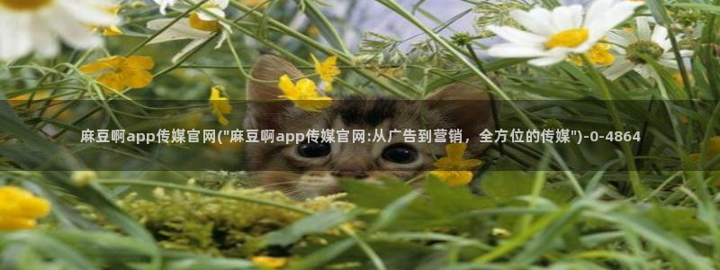 麻豆视频 专区下载