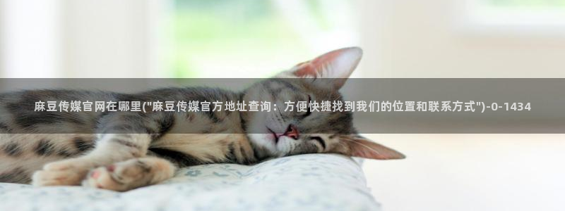 麻豆精选导航：麻豆传媒官网在哪里(\