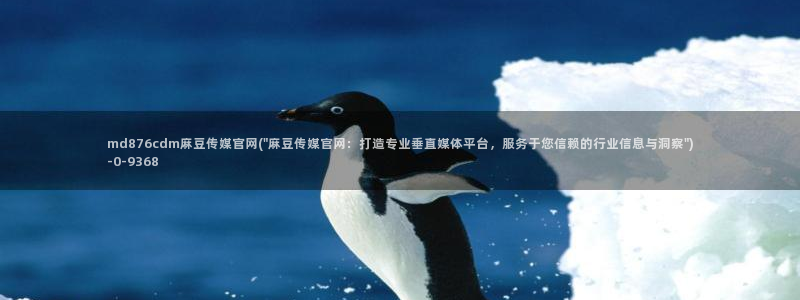 麻豆视频精选专区