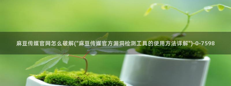 麻豆完整版页面