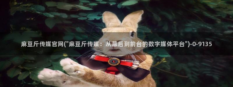 麻豆视频更新推荐：麻豆斤传媒官网(\